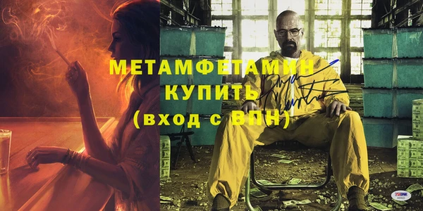 индика Михайловск
