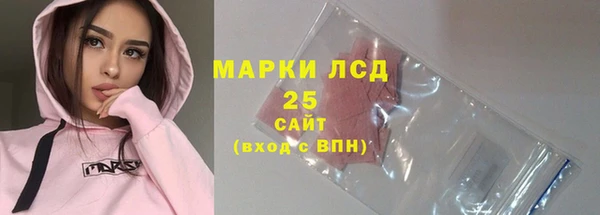 индика Михайловск