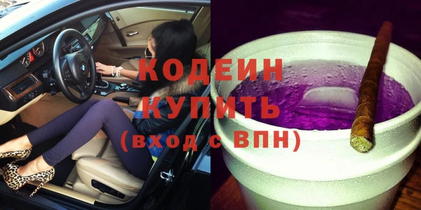 индика Михайловск