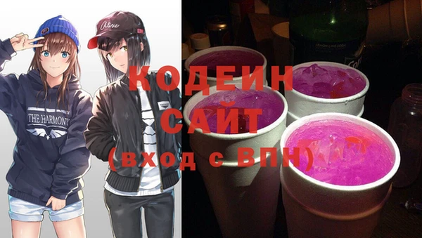 индика Михайловск