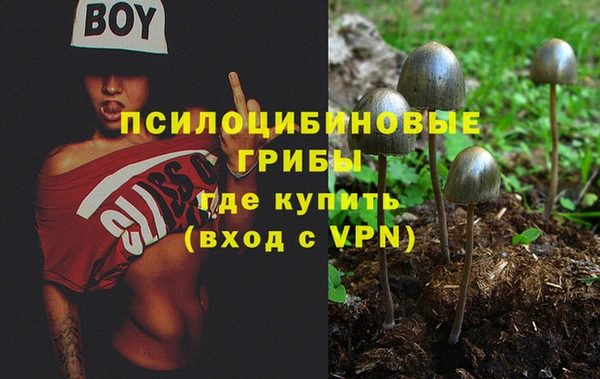 стафф Медногорск