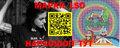 трава Новозыбков