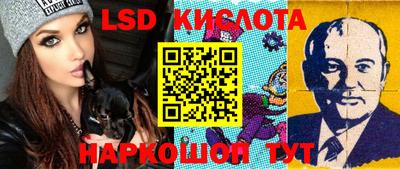 трава Новозыбков
