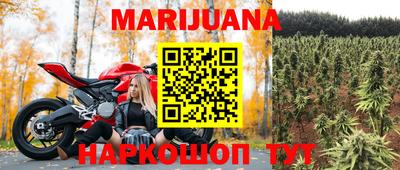трава Новозыбков
