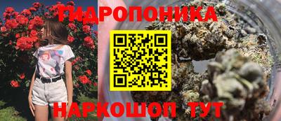 mdma Новодвинск