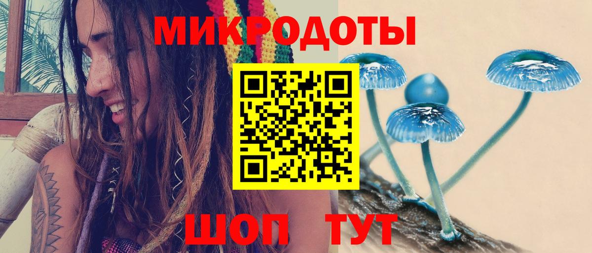 Галлюциногенные грибы мицелий  дарнет шоп  Янаул  Вход с VPN 